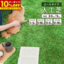 【クーポンで10%OFF★9/10 0:00-9/11 1:59】 人工芝 ロール 1x5 m 1x10 m 2x5 m 2x10 m 芝丈 35mm 50mm リアル ふかふか 芝生マット 人工芝生 芝生シート 人口芝 芝生 ロールタイプ 高密度 固定ピン 庭 ベランダ バルコニー ドッグラン ガーデニング 水はけ ガーデン
