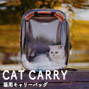 楽天インテリアショップファンボヌール猫 ペットキャリー リュック キャリーバッグ 折り畳み コンパクト ねこ お出かけ 通院 散歩 猫用リュック 送料無料 おしゃれ ネコ 可愛い かわいい pidan ピダン