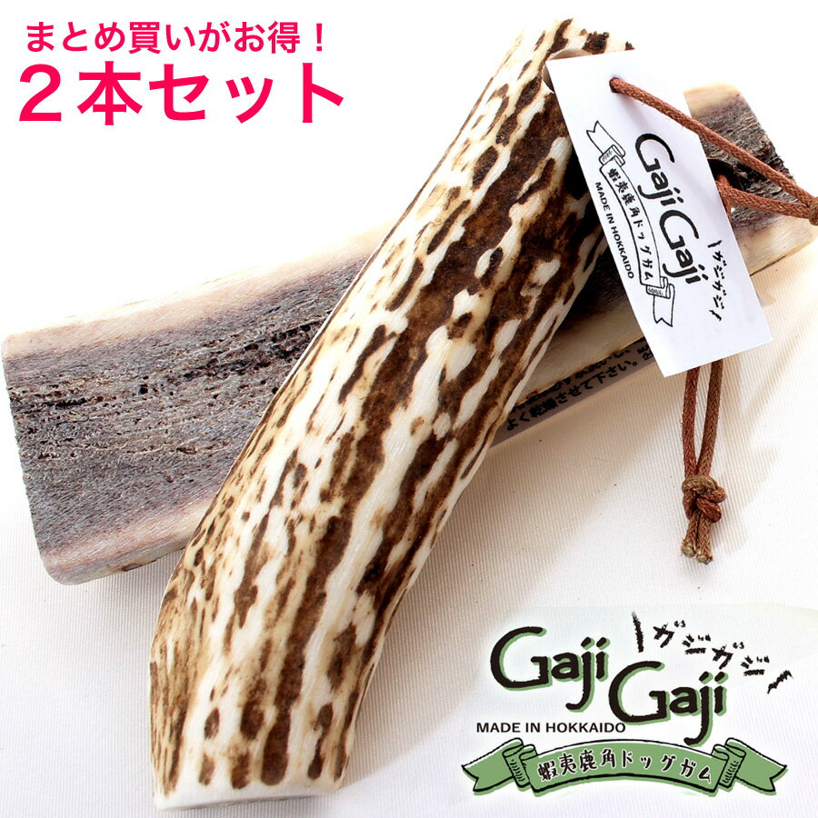 淿 2ܥåȡ۲ܰмѥɥåࡡGajiGaji ̳ƻ γ ڥå ŷ ̵ź   ฤ...