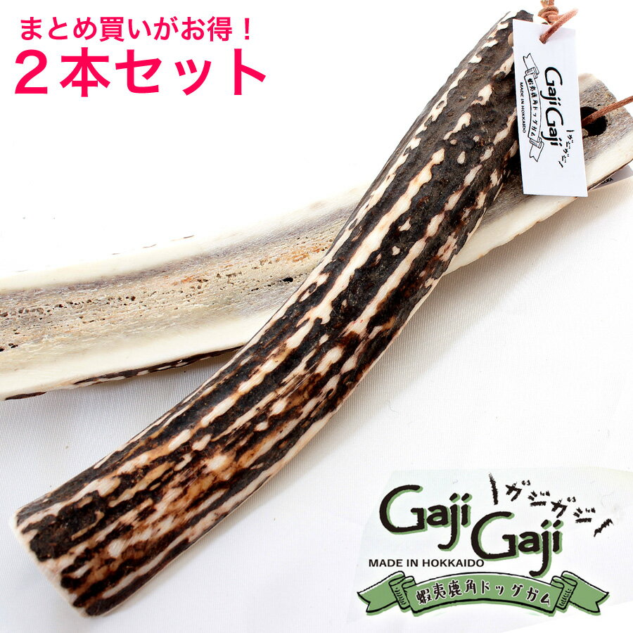 【大型犬用 2本セット】蝦夷鹿角ドッグガム ガジガジ GajiGaji 北海道産 鹿の角 ペット用品 天然 無添加 国産 日本製 噛む犬のおもちゃ 硬い犬のおやつ 鹿の角 犬 噛む おもちゃ 犬歯石 鹿角 シカの角 ジビエ おやつ 餌 丈夫 エゾシカ角