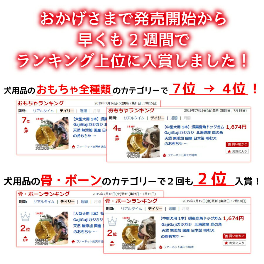 【大型犬用 2本セット】蝦夷鹿角ドッグガム　ガジガジ　GajiGaji　 北海道産 鹿の角 ペット用品 天然 無添加 国産 日本製 噛む犬のおもちゃ 硬い犬のおやつ　鹿の角 犬 噛む おもちゃ 犬歯石 鹿角 シカの角 ジビエ おやつ 餌　丈夫　エゾシカ角 2