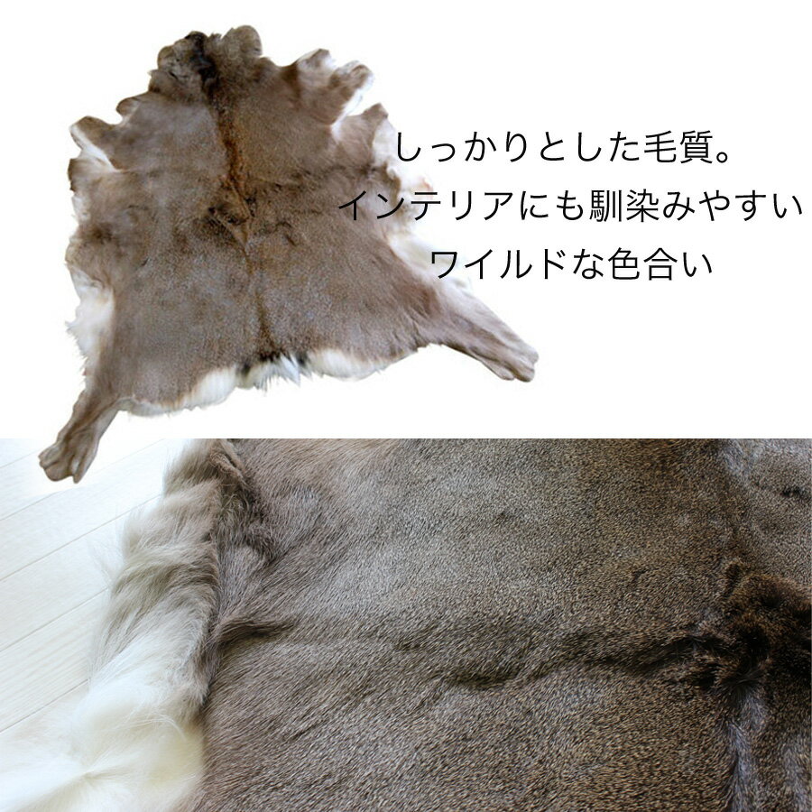 Premium Line 蝦夷鹿 本革 ラグ - 通販 - www.nautla.gob.mx