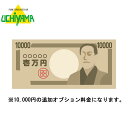 追加オプション料金 10000円