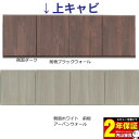 sizar専用 160cm テレビボードキャビネット 本体2色 カラーセレクション 送料無料