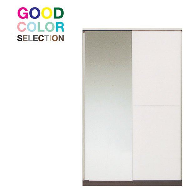 えっ!?【ポイント増量&お得クーポン】 服吊り100cm幅 国産 ワードローブ カラーセレクション対応引き戸 完成品 開梱設置 送料無料
