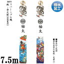 えっ!?【ポイント増量&お得クーポン】 のぼり旗 7.5m 節句幟 絵幟のみリバーシブル幟「桃・金太郎(招福龍付) XR75」 家紋・名前入サービス 撥水加工 ...