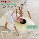HOPPL ホップル ベビージムセット 天然木 ハンギングトイ 要組立品 お祝い ギフト 赤ちゃん おもちゃ ベビーカー 玄関渡し 揺らして遊ぶ ジム3色 ハン...