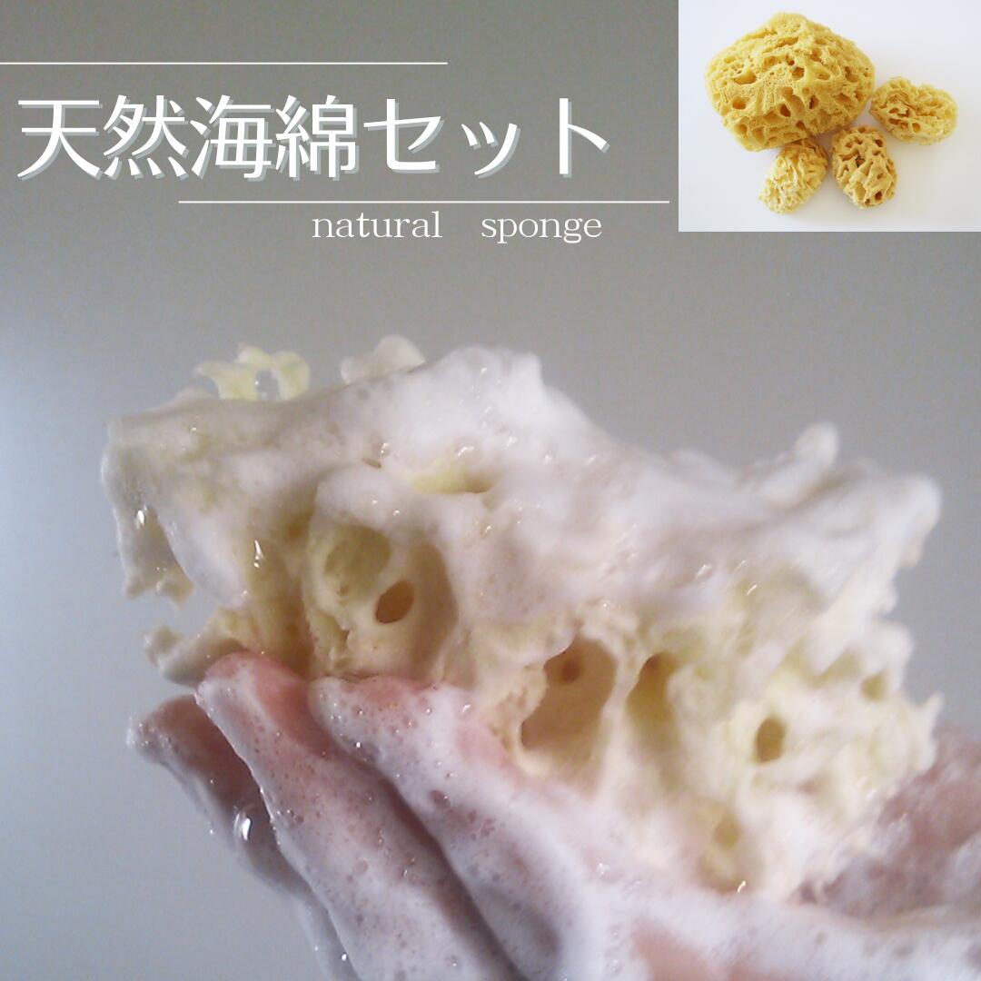 \ブラックフライデー 店内P5倍/【エーゲ海産】天然海綿 ボディ用フェイス用セットバス用品_ボディスポンジ