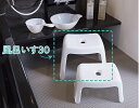 【楽天スーパーSALE 今だけさらにP10倍】favor レジェール 風呂いす30 フェィヴァ PET樹脂製 バスチェア 椅子 単品 ホワイトのみ_ 楽天スーパ...
