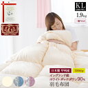 羽毛布団 キング 約230×210cm イングランド産ホワイトダックダウン90% 二層キルト エクセルゴールドラベル 安心の日本製 甲州産 羽毛掛布団 キングロングサイズ(3)