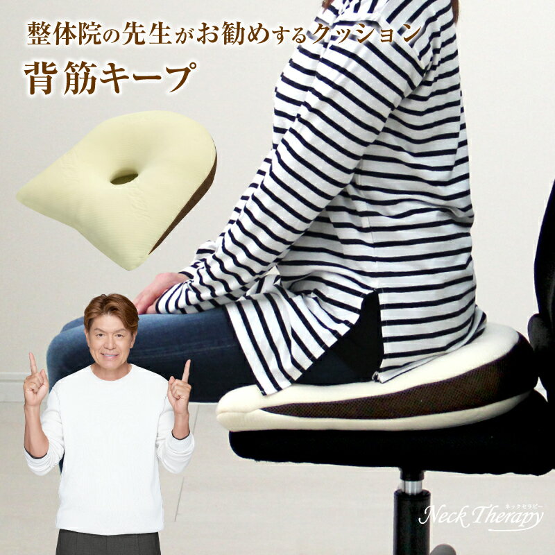 整体院の先生がお勧めするクッション 背筋キープ 約37×40cm 低反発ウレタンチップ ネックセラピー 背筋が伸びる 猫背改善 正しい姿勢 母の日 プレゼント