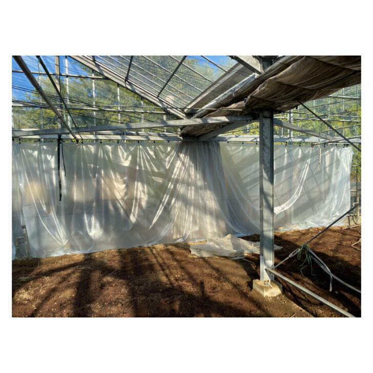 ��ĥ ���������� �ӥˡ���ϥ��� PO ��ĥ�� �ե���� �����������ȥ����ץ饹 ��230cm Ĺ����ͳ ����̵�� ��˾m���˲ù� po �ե���� ��Ǯ ��� �к�Ū �ݲ� �� ������ �ѵ��� Ĺ���� �ù��� ��ź��� �᡼����ľ�� ���� ���� ǳ�������� ��po ��ũ �ɿ� ������Բ�