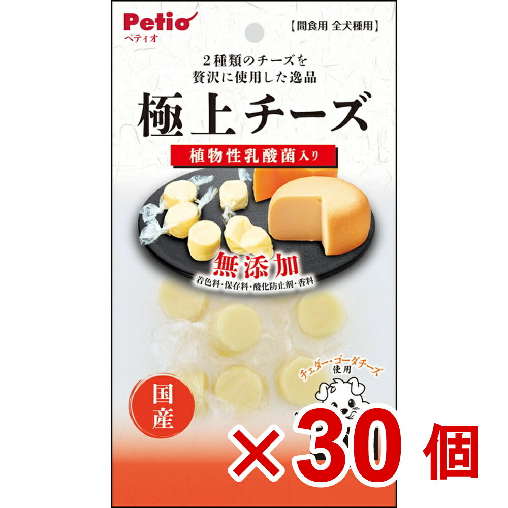 【ケース販売】極上　チーズ　乳酸菌入り　50g×30個