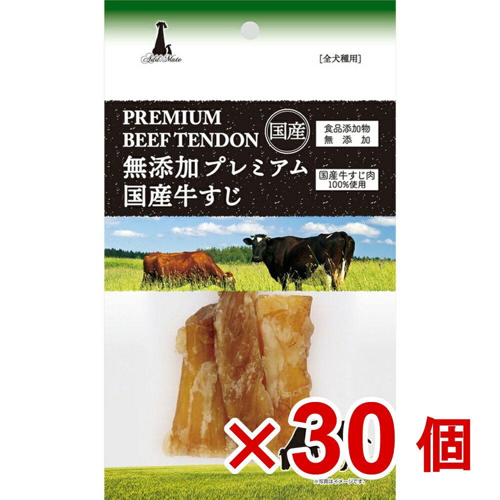 【ケース販売】無添加プレミアム　国産牛すじ　45g×30個