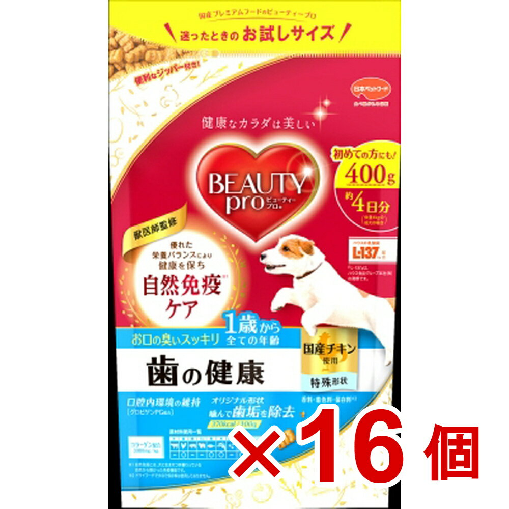 ビューティープロ　ドッグ　歯の健康　1歳から400g×16個