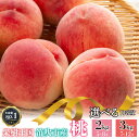 <ふるさと納税で大人気!>山梨県 笛吹市産 朝獲り 新鮮 桃 選べる 2kg/3kg 【2025年6月中旬頃~収穫後順次発送】| 桃 もも モモ 山梨県産 笛吹市 産地直送 期間限定 果物 くだもの フルーツ 2キロ 3キロ 品種さまざま 朝どれ 朝採れ 朝獲れ