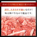 furucolle:10000004のサンプル画像2