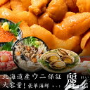 【超お得！うに確定】北海道海鮮福袋 麗【海鮮丼 ふるくりプレゼンツ 福袋 海鮮セット うに あわび ホタテ いくら ギフト プレゼント 父の日 母の日 詰め合わせ 同梱不可 産地直送 北海道 北海道産 余市 ふるくり 】