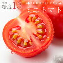 【7月上旬発送予定】 完熟 ミニトマト 1kg 高糖度 フルーツトマト 高糖度 高品質 北海道仁木町 小貫農園 直送 感動の甘さ 糖度10~14度 有機肥料 減農薬栽培 特別な味わい 太陽の恵み 逸品 TOMATO トマト プレゼント 北海道 産地直送 贈り物 (サイズS~L混合)