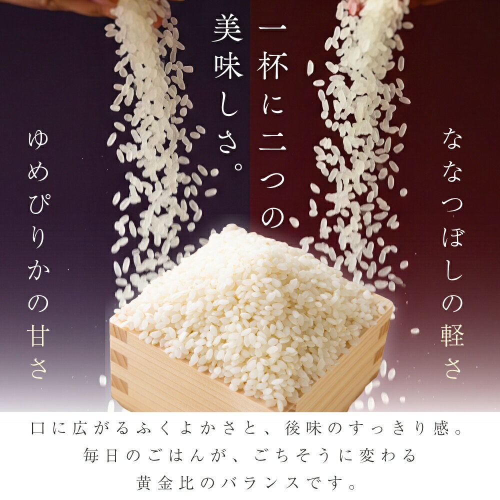 ����7ǯ�� 900g �̳�ƻ �����֥����� ��A 1���� ��A��� ������ ���� ���� ���� �̳�ƻ�� �ʤʤĤܤ� ���Ԥ꤫ £���� ���ե� ����ľ�� �̳�ƻ ;�� ��î ���� ������ ����� �դ뤯�� ����̵�� ���