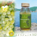 【北海道余市産】無添加 ストレート100% ぶどうジュース ナイアガラ 180ml 北海道産 無添加 高級 農家厳選 熨斗対応 国産 フルーツ 果物 お取り寄せ 送料無料 通販 ふるくり 送料無料
