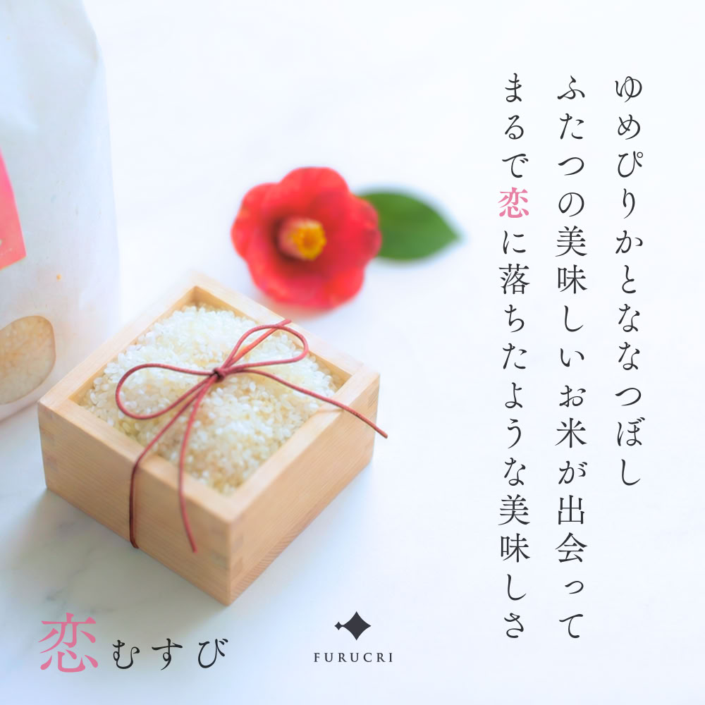 令和7年産 5kg 北海道 恋むすび 特A 1等米 特Aランク 一等米 玄米 北海道産 ななつ...