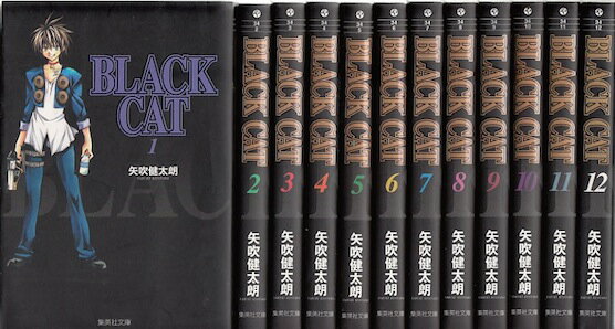 【漫画】【中古】BLACK CAT（ブラックキャット）［文庫