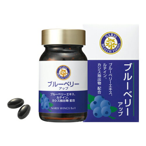 ブルーベリー　アップ 27g（450mg×60粒)