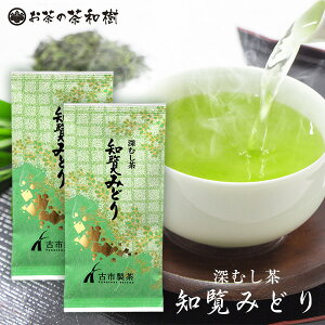 【1/9 20時より 1,350円→1,296円】 お茶 知覧茶 深むし茶 知覧みどり 100g 2本セット メール便送料無料 5セットで1本プレゼント 2023 深蒸し茶 鹿児島県 南九州市産 カテキン 茶葉 煎茶 緑茶 水出しうまみ まろやか ギフト RSL