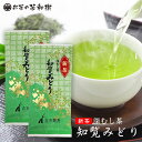 新茶 お茶 知覧茶 深むし茶 知覧みどり 100g 2本セット メール便送料無料 5セットで1本プレゼント 2024 深蒸し茶 鹿児島県 南九州市産 カテキン 茶葉 煎茶 緑茶 水出しうまみ まろやか ギフト RSL　【 新茶予約 】