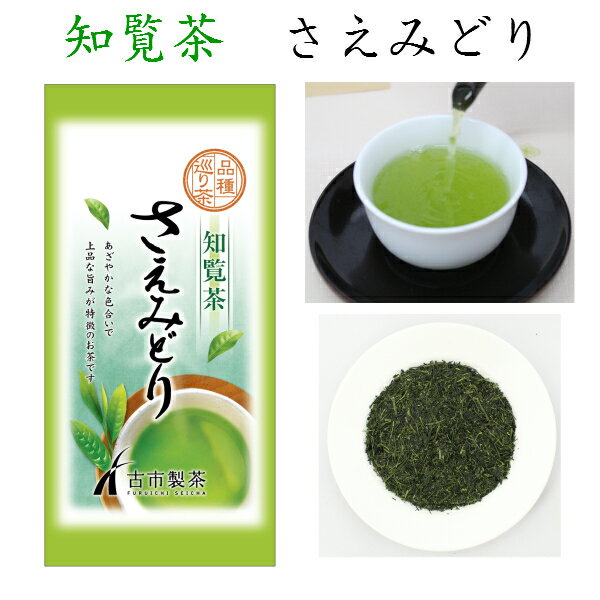 知覧茶 さえみどり 品種巡り 茶 80g シングルオリジン ちらん茶 深蒸し茶 深むし茶 お茶 緑茶 日本茶 お茶っぱ お茶っ葉 茶葉 美味しいお茶