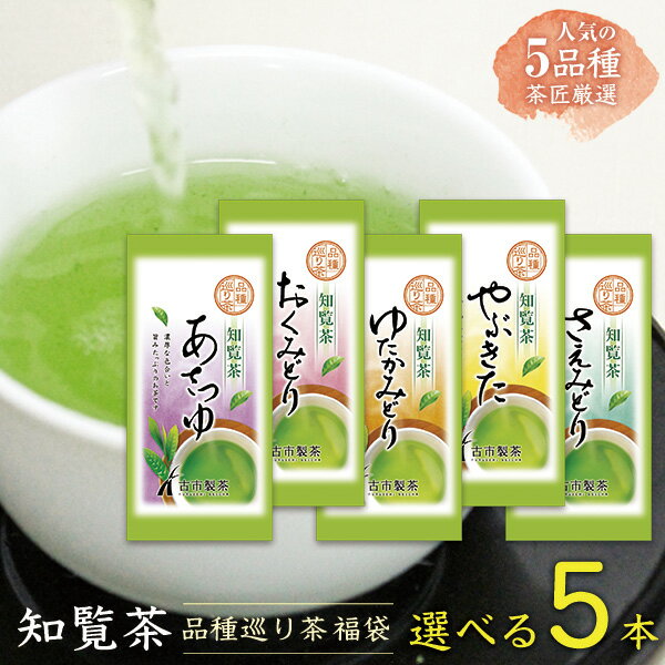 【選べる5本】知覧茶　品種巡り福袋 80g×5本 ☆メール便送料無料　シングルオリジン　ゆたかみどり　やぶきた　さえみどり　おくみどり　あさつゆ　深蒸し茶　お茶　緑茶　ケルセチン