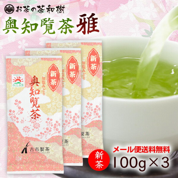 新茶 2024年度産 知覧茶 後岳産 奥知覧茶 雅 100g×3本 【メール便送料無料】 お茶 深蒸し茶 深むし茶 日本茶 茶葉 知覧産 上級茶 父の日 母の日 贈り物 贈答 うまみ カテキン まろやか 生産者限定 1番茶 ギフト 敬老の日 RSL 【 新茶予約 】