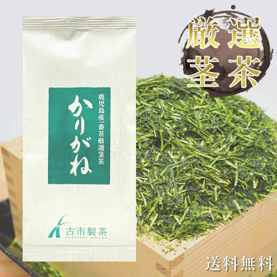 [ 新茶 2025年産 お茶 薩摩 かりがね ]