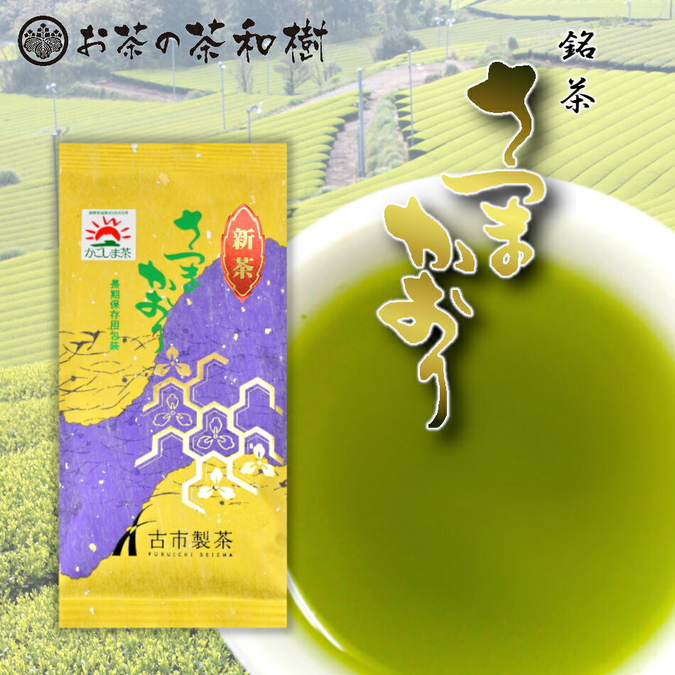 新茶 さつまかおり G-10 鹿児島県産 100g 【古市製茶】 鹿児島茶 日本茶 緑茶 煎茶 上級茶 リーフ 23年度産