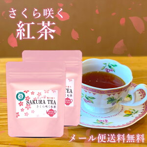 桜咲く紅茶 ティーバッグ 3g×7袋2本セット さくら葉入 べにふうき 紅茶 国産 桜葉入 春の香り 桜紅茶 さくら紅茶 かわいい パッケージ メール便送料無料 RSL