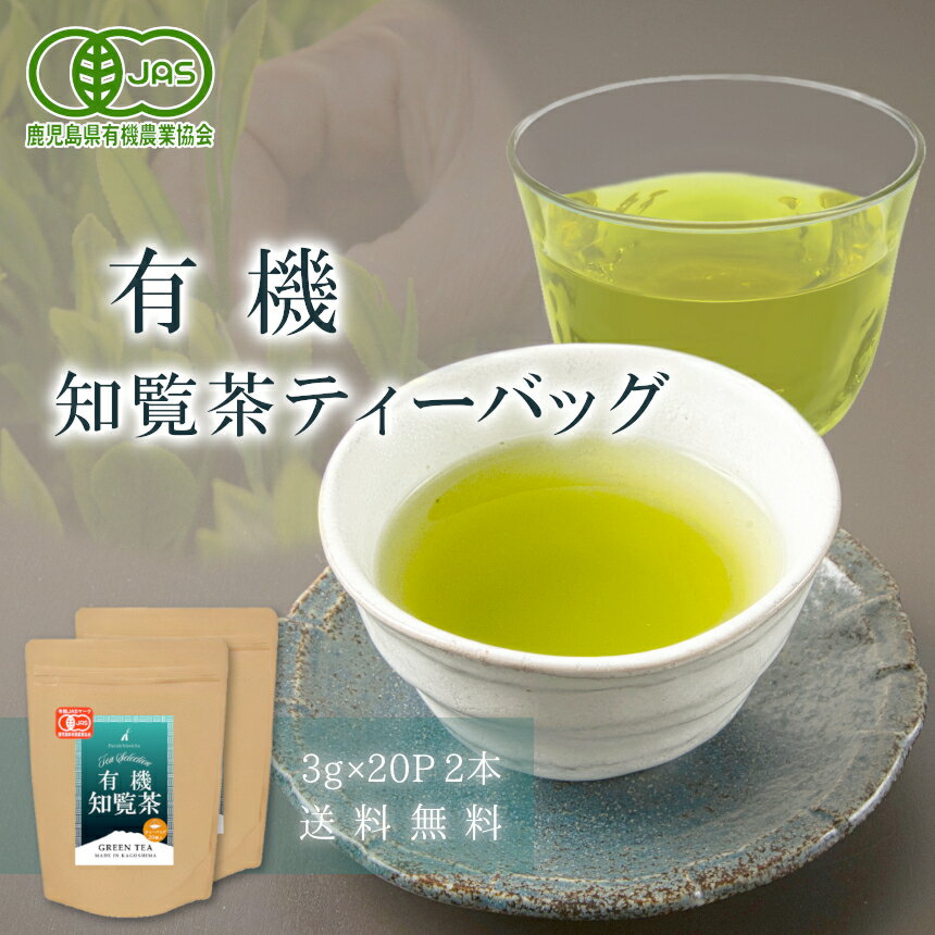 有機栽培茶 知覧茶 ティーバッグ 3g×20袋×2本セット JAS認定 オーガニック 日本茶 お茶 緑茶 深むし茶 化学 農/薬 不使用 一番茶 産地直送 安心 安全 メール便送料無料 2023 RSL