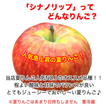 【訳あり小玉】シナノリップ 約2.5kg 葉とらず 信州りんご およそ12-16玉 希少品種 送料無料 数量限定 NAR0E025