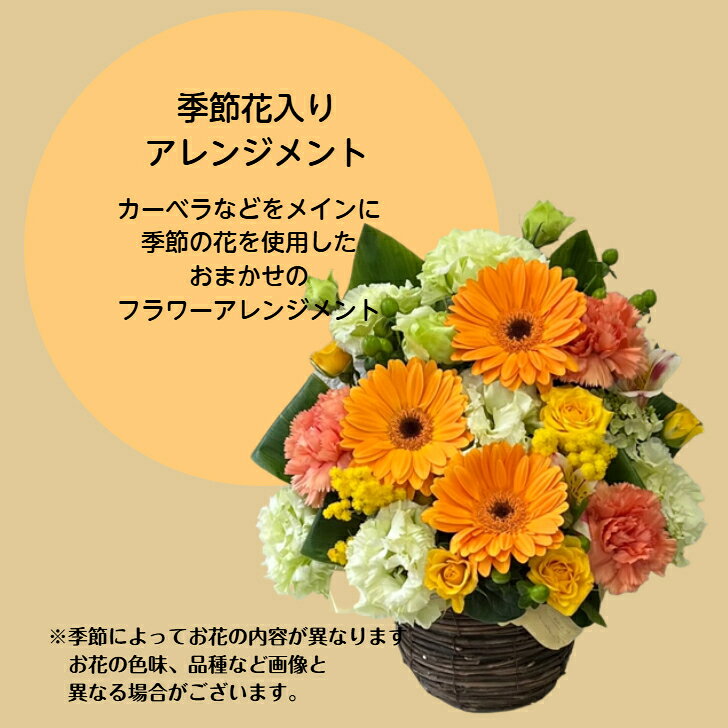 母の日 花 ギフト フラワーアレンジメント 選べる4色 誕生日 お祝い おしゃれ 結婚祝 開店祝 退職祝 お見舞い 送別会 出産祝い 記念日 お祝 発表会 結婚記念日 季節の花 生花 プレセント フラワー アレンジメント かごアレンジ