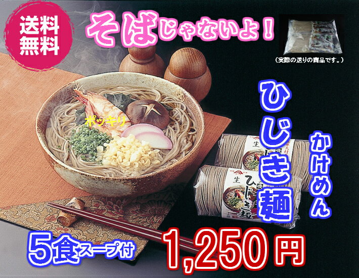 送料無料 ひじき 麺 5食 かけつゆ付 訳あり商品 お試しパック ミネラル たっぷり ヘルシー 海藻麺 健康願ったご家庭用 長崎特産 お取り寄せ 長崎ちゃんぽんの老舗 創業70年 麺のあらきのオリジナル商品 そば 蕎麦 じゃない