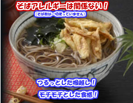 送料無料 ひじき 麺 5食 かけつゆ付 訳あり商品 お試しパック ミネラル たっぷり ヘルシー 海藻麺 健康願ったご家庭用 長崎特産 お取り寄せ 長崎ちゃんぽんの老舗 創業70年 麺のあらきのオリジナル商品 そば 蕎麦 じゃない