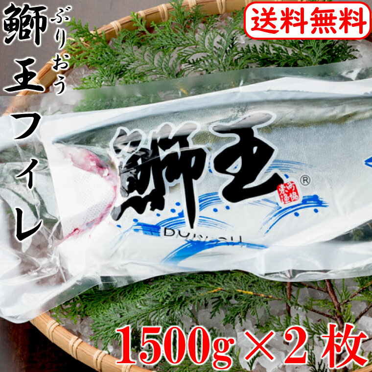 【送料無料】産地直送 鰤王 フィレ 3000g 1500g 2枚 