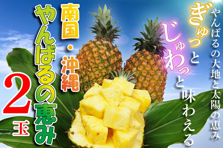 ＜先行予約受付開始！＞【送料無料】沖縄県産　ゴールドバレル　2玉　3.5kg 　パイン　パインアップル　パイナップル　フルーツ　沖縄　やんばる　東村　しんざと果樹園のサムネイル