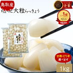 らっきょう 国産 鳥取産 日本ギフト大賞受賞 ちょっと 大粒1kg(500gx2袋) 2キロ 250円引き 不揃い らっきょう漬け らっきょ 惣菜 鳥取産 ちょっと 大粒 ピリ辛 甘酢 らっきょう漬 甘酢 & ピリ辛 お漬物 おつまみ らっきょう酢