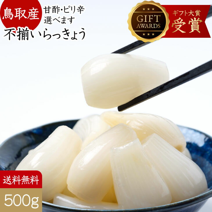 間もなく価格改定 らっきょう 国産 鳥取産 日本ギフト大賞受賞 500g(1Kgで3380円) ふぞろい大粒 送料無料 らっきょ 惣菜 鳥取産 らっきょう漬 らっきょう 漬物 らっきょう酢 らっきょう漬け【甘酢・ちょっと ピリ辛 選べます】つまみ ビールに合う らっきょう漬け