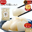 【国産原料使用】沢田の味 らっきょうりんご 甘酢漬 100g×2袋セット送料無料 自然と健康の郷 群馬県吾妻郡産 健康 ダイエット ギフト プレゼント 母の日 父の日 プチギフト お茶 内祝い チャイ 2024