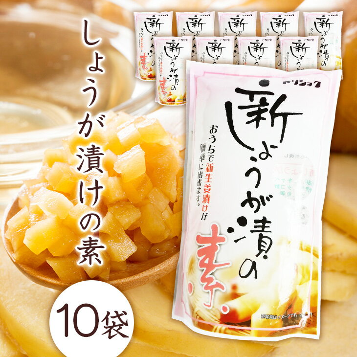 調味酢 鳥取 新 しょうが漬け 300ml×10袋 漬け込むだけ らっきょう屋さんの 美味しい しょうが漬け 鳥取 新 しょうが漬け 料理酢 鳥取 お漬物 らっきょう屋さんの調味酢 送料無料 国産 漬物に メール便