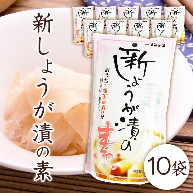 調味酢 鳥取 新 しょうが漬け 300ml×10袋 漬け込むだけ らっきょう屋さんの 美味しい しょうが漬け 鳥..