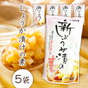 調味酢 鳥取 新 しょうが漬け の素 300ml×5袋 漬け込むだけ らっきょう屋さんの 美味しい しょうが漬け 鳥取 新 しょうが漬け 料理酢 鳥取 お漬物 らっきょう屋さんの調味酢 国産 漬物に きんぴらに 万能調味料