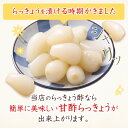 らっきょう酢 鳥取 らっきょう屋さんの らっきょう酢 700ml×1袋 鳥取産 らっきょう漬 砂丘らっきょう 鳥取 お漬物 鳥取産らっきょ らっきょう ★らっきょう屋さんのらっきょう酢 同梱でお得 国産 2